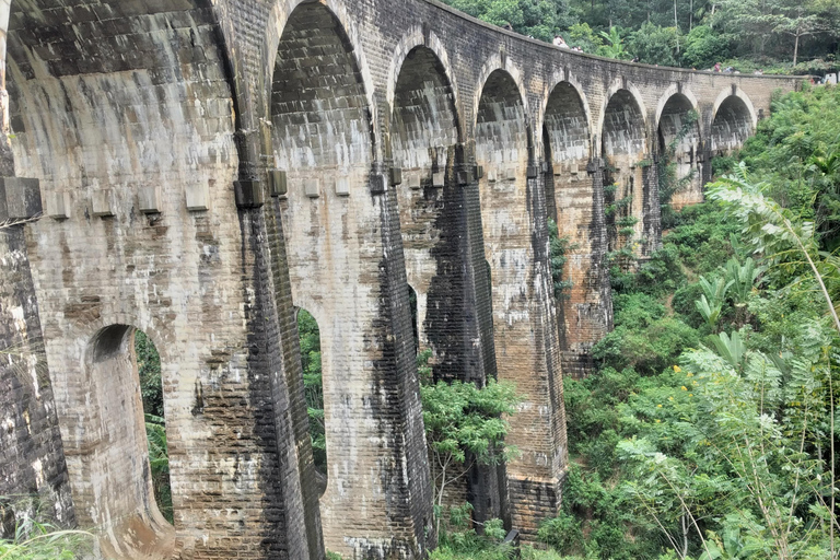 Ella : excursion d&#039;une journée inoubliable et tour en trainElla : excursion d&#039;une journée inoubliable et balade en train