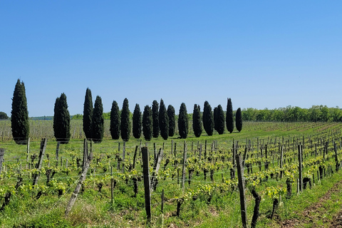 Desde Burdeos: Tour privado a Monbazillac (castillo, vino y gastronomía en Dordoña)Desde Burdeos: tour privado a Monbazillac (castillo, vino y gastronomía en Dordoña)