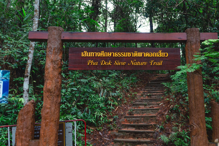 Randonnée dans le parc national de Doi Inthanon et randonnée sur le sentier de Pha Dok SiewVisite du parc national de Doi Inthanon et randonnée sur le sentier Pha Dok Siew