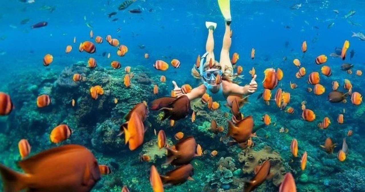 Oahu: Schnorchelabenteuer im Meeresschutzgebiet