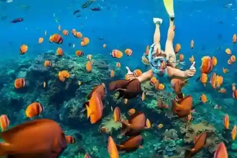 Oahu: Snorkel Adventure in Marine Sanctuary