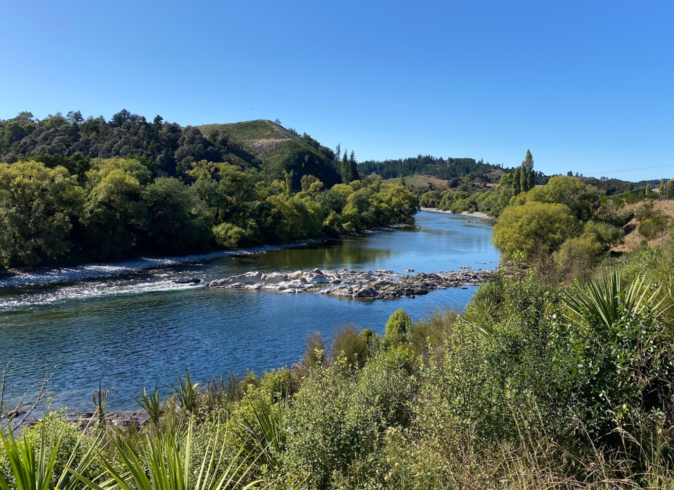 Nelson til Mapua: Heldags cykeleventyr med egen guide