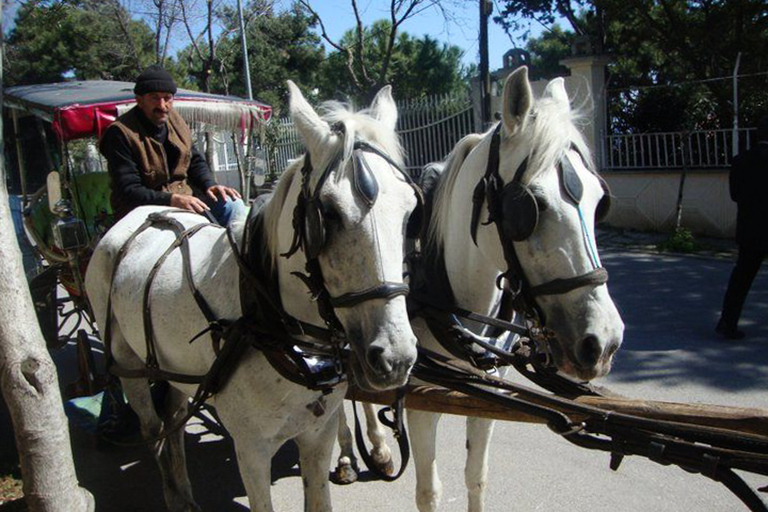 From Istanbul: Büyükada Walking Full-Day Tour