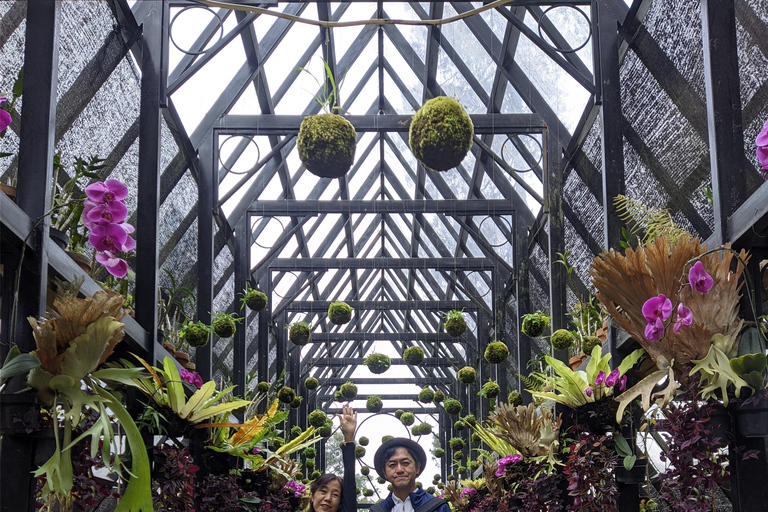 Bandung: Tour del vulcano Tangkuban Parahu e delle aree circostanti