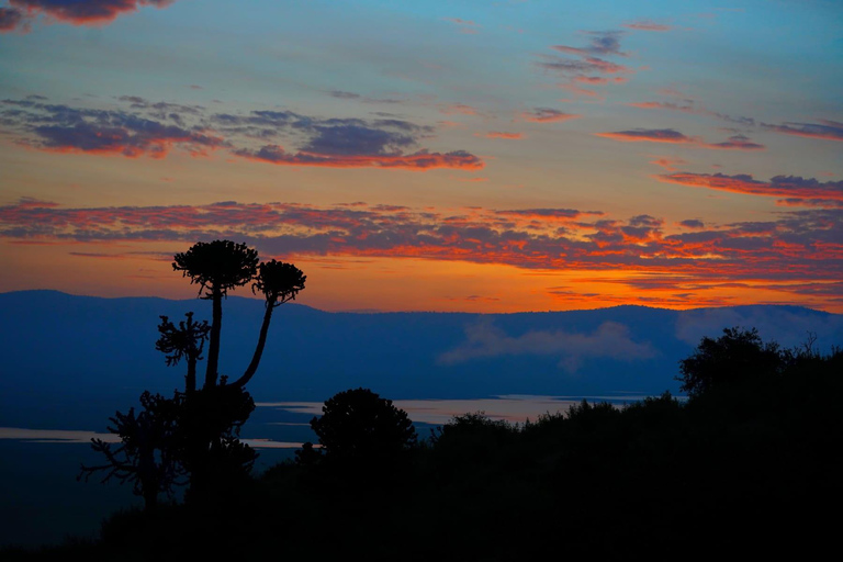 From Nairobi: 12 Days Small Group Kenya and Tanzania Safari