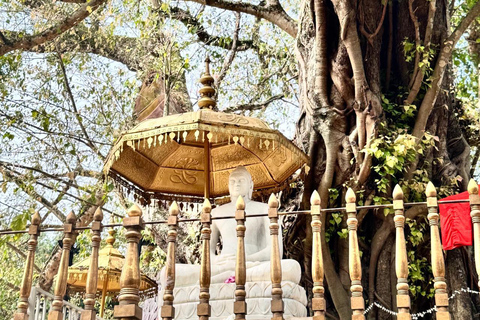 From Negombo: Kelaniya Rajamaha Vihara Guided Temple Tour