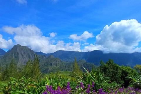 Eiland Réunion: Salazie Sightseeingtour met chauffeur gidsEngelssprekende chauffeur/gids