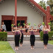 From Tauranga: Te Puia Guided Tour with Māori Cultural Show