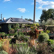 Carool: The Potager Garden Experience & Long Lunch