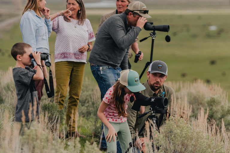 Jackson: Private GTNP Sunrise Safari & Field Breakfast