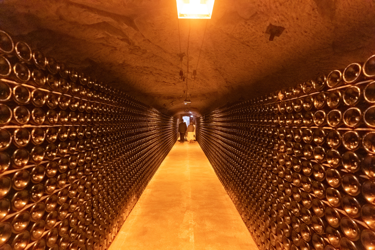 From Paris: Day Trip to Champagne with 8 Tastings & Lunch Private Tour