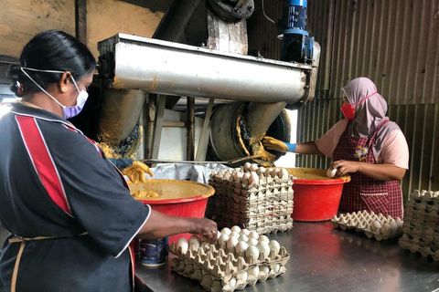 Penang Roundtrip: Kuala Kurau Fishing Village Day Tour