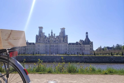 Desde Villesavin: Excursión guiada en bicicleta eléctrica de día completo a Chambord