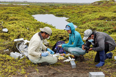 Iquitos: aventura de 6 días en la selva amazónica con comidas incluidas.Iquitos: aventura de 6 días por la selva amazónica con comidas incluidas