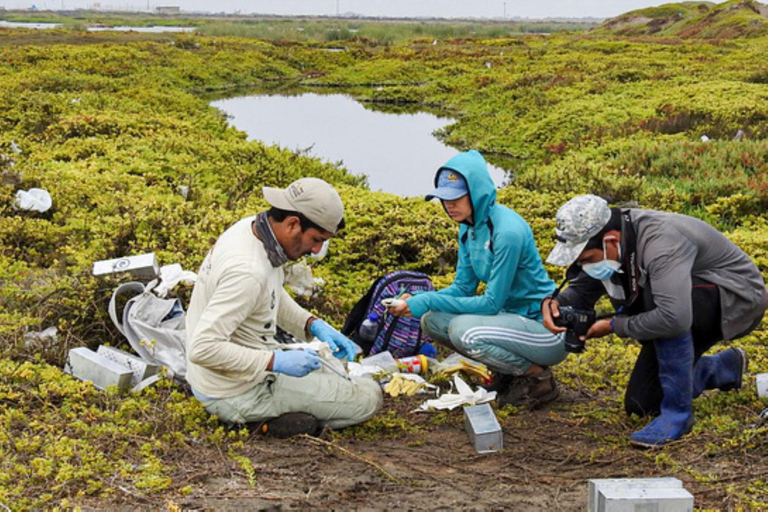 Iquitos: aventura de 6 días en la selva amazónica con comidas incluidas.Iquitos: aventura de 6 días por la selva amazónica con comidas incluidas
