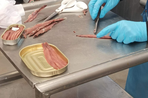 Santona: Konservenfabrik und die Sümpfe Tour mit Verkostung