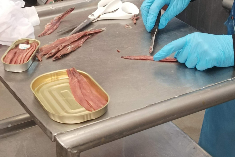 Santona: Konservenfabrik und die Sümpfe Tour mit Verkostung