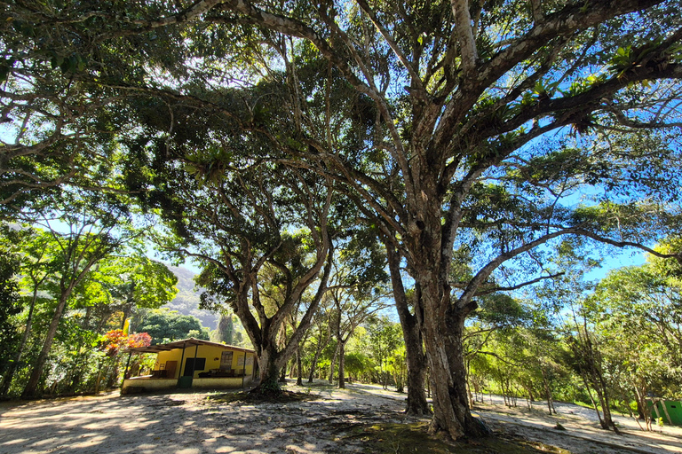 Paraty: 4-Day Joatinga Peninsula Sea Kayaking Expedition