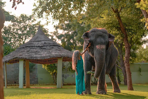 Agra: Skip the Line Taj Mahal & Elephant SOS Tour with Lunch All Included Tour with Car, Guide, Tickets & Lunch