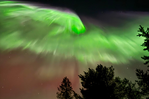 Rovaniemi: Coffee under Northern Lights & Professional Photo