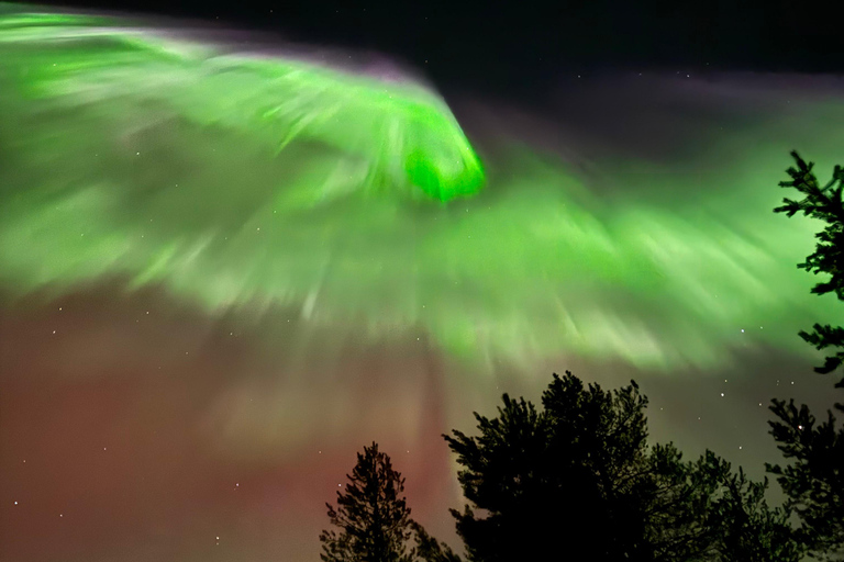 Rovaniemi: Coffee under Northern Lights & Professional Photo