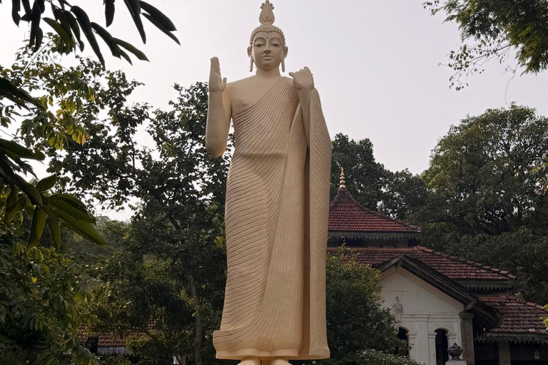 From Negombo: Maligathenna & Pilikuttuwa Temple Hike