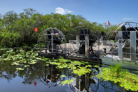 Everglades : tour en bateau avec transport&amp; entrée inclus