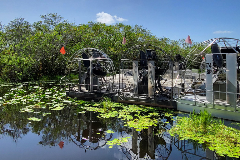 Everglades : tour en bateau avec transport&amp; entrée inclus