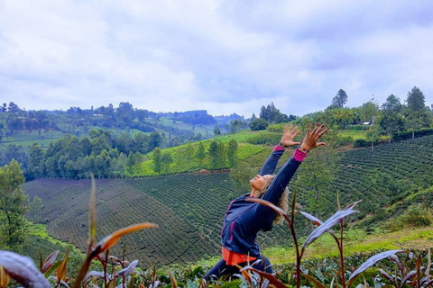 Nairobi: Purple Tea Farm Tour & Tasting Daytrip