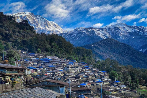 Från Pokhara: 3-dagars Kapuche Glaciärsjövandring