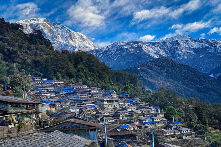 Från Pokhara: 3-dagars Kapuche Glaciärsjövandring