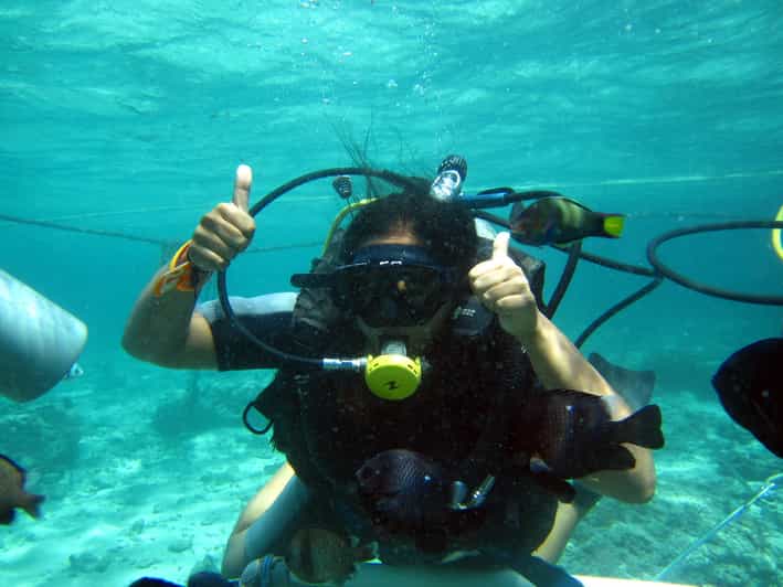 Bali : Scuba Diving Experience for Beginner