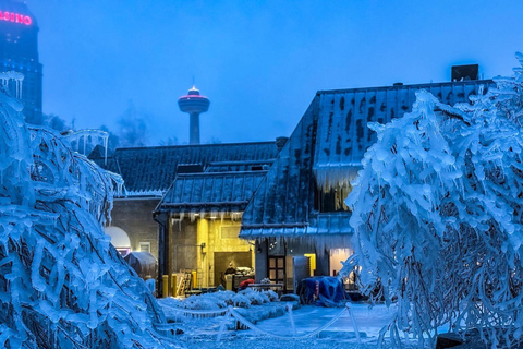 Niagara Falls: Power Station and "Niagara Takes Flight" Tour Niagara Falls: Niagara Takes Flight Tour