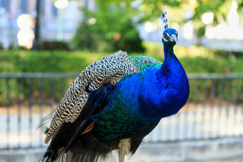 Aranjuez: Fast-Track Entry to the Royal Palace