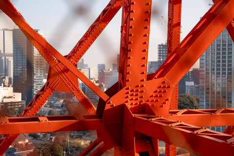 Tokyo: 1-dagars höjdpunkter med privat bil och guide