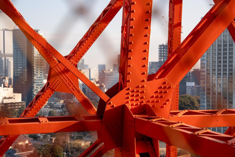 Tokyo: 1-dagars höjdpunkter med privat bil och guide