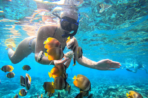 Nusa Penida: Snorkeling Adventure 3-Spots with Manta Rays Nusa Penida: Snorkeling Manta Point 3-Spots with Manta Rays
