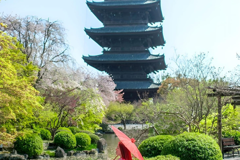 Heldags privat dagsutflykt till Kyoto med engelsktalande chaufförKyoto heldags privat dagsutflykt med engelsktalande chaufför