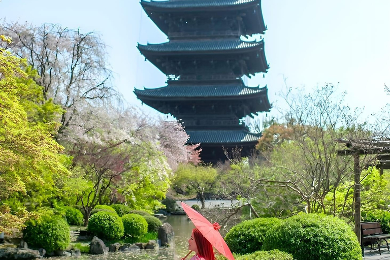 Heldags privat dagsutflykt till Kyoto med engelsktalande chaufförKyoto heldags privat dagsutflykt med engelsktalande chaufför