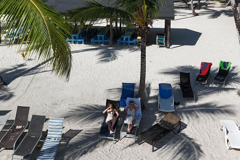 Saona Island: Premium Beach Tour