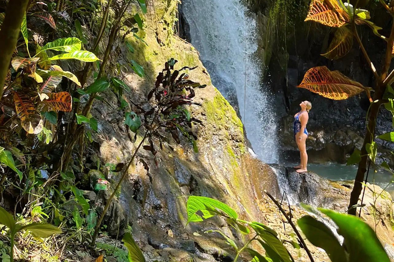 Ubud: Waterfalls, Rice Terrace & Bali Swing, Private Tour Tour With All Entrance Tickets - private tours