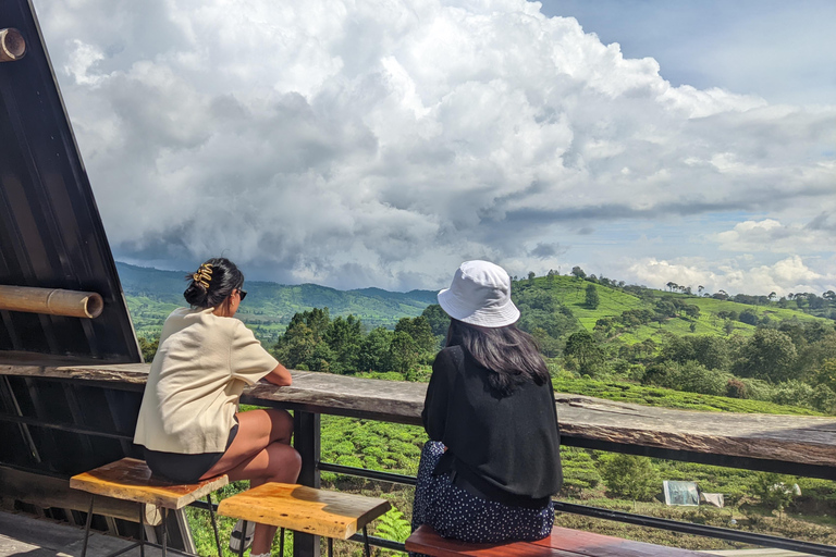 Bandung: White Crater, Scenic Tea Plantations & Hot Spring Open Tour: White Crater & Surroundings areas. with Tickets