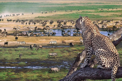 5 Days Tarangire, Ngorongoro & Serengeti National Park
