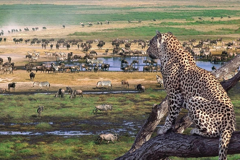 5 Days Tarangire, Ngorongoro & Serengeti National Park
