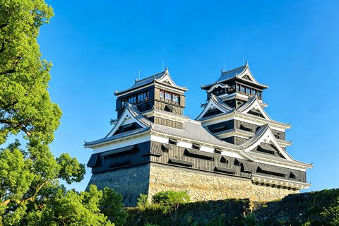 Fukuoka: Mt. Aso, Minamiasu Railway & Kumamoto Castle Tour