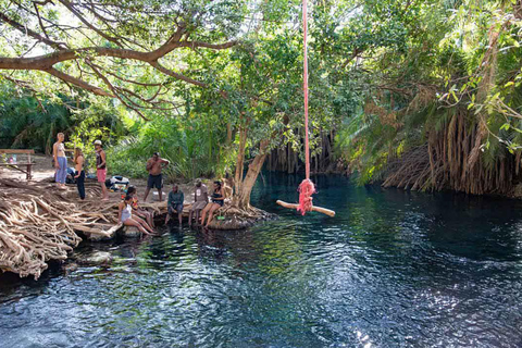 Excursión de un día a las termas de Chemka