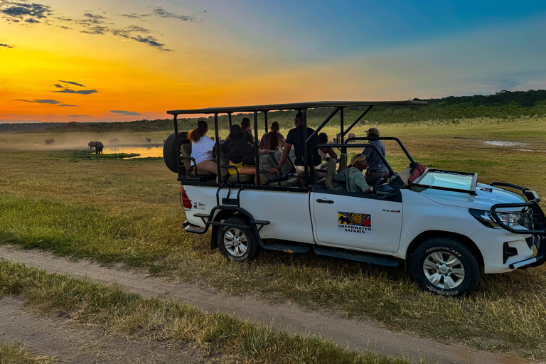 Chutes Victoria : Safari dans le parc national du ZambèzeSafari matinal