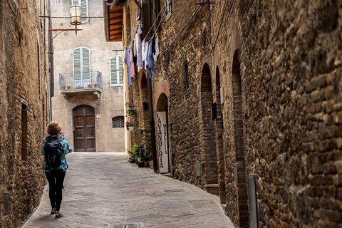 Privétour Toscane naar Pisa, Siena, San Gimignano en lunch