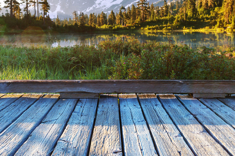 Seattle: Mt. Baker & North Cascades Full-Day Shared Tour
