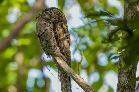 Rockland vogelreservaat privétourVan Grand Palladium/ Lady Hamilton